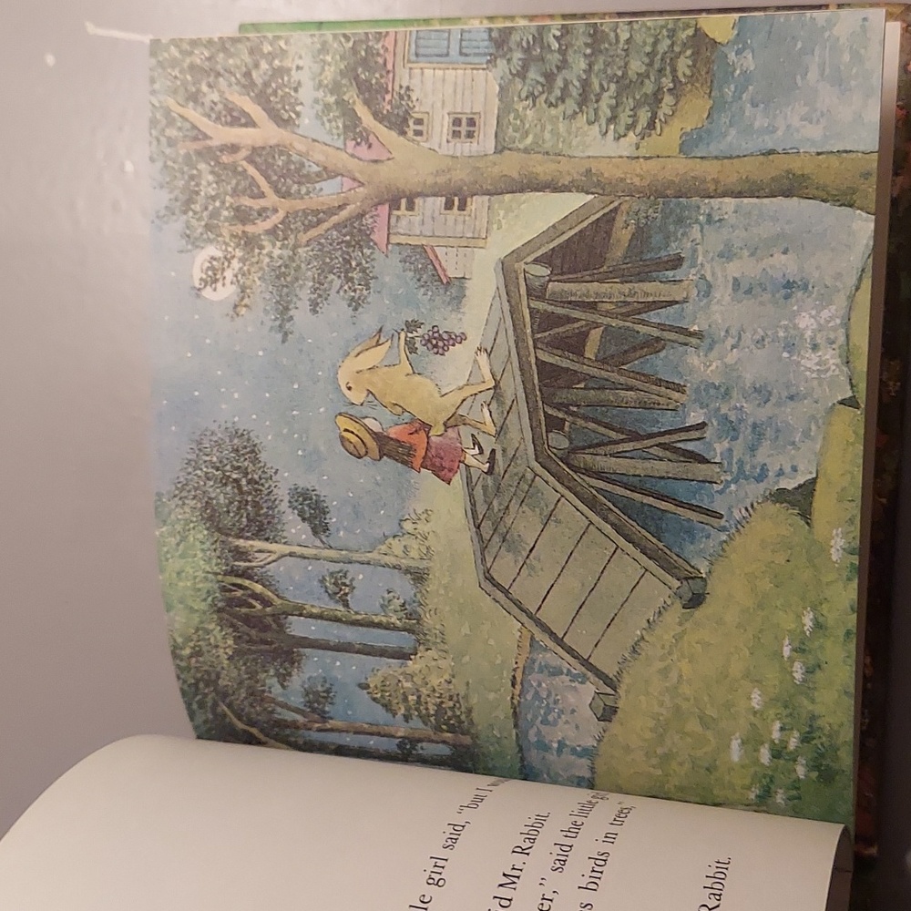 ❤️ Mr. Rabbit And The Lovely Present - Picture 14 of 16
